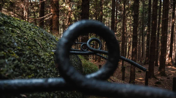 深い森のコカバテのバンカーの鉄のブタの尾の詳細 オーリック ホーリー ストックフォト