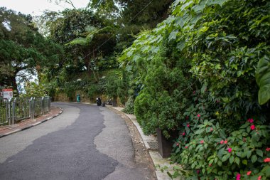 Güzel botanik fotoğrafı, doğal duvar kağıdı.