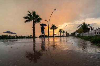 güneşli yataklar, deniz kenarındaki şemsiyeler, ağaçlar ve kumsaldaki kumlar yağmurdan sonra renkli bir günbatımı.