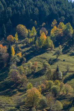 Artvin Savsat 'ın görüşleri, Karadeniz bölgesinin en doğusundaki yeşillikler arasında yer alıyor.