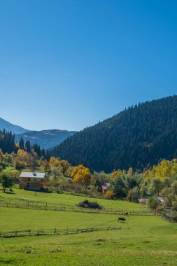 Artvin Savsat 'ın görüşleri, Karadeniz bölgesinin en doğusundaki yeşillikler arasında yer alıyor.