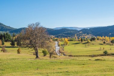 Artvin Savsat 'ın görüşleri, Karadeniz bölgesinin en doğusundaki yeşillikler arasında yer alıyor.