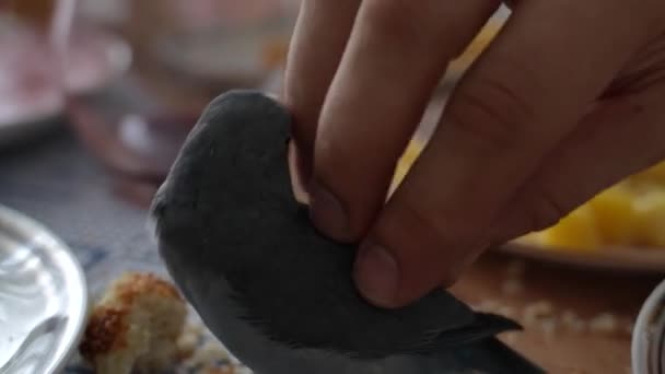 Синій Папуга Форпус Невеликий Вид Папуги Їсть Їжу Людей Столом — стокове відео