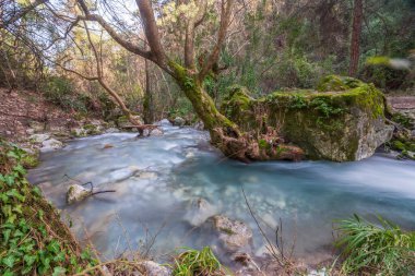 Ormanın ortasında bir derede bir şelale..