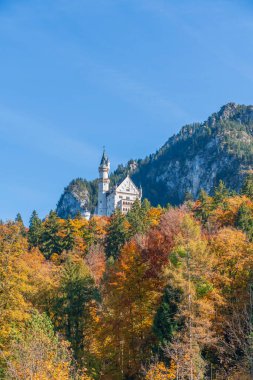 Neuschwanstein Şatosu, Almanya 'nın tarihi binalarından biridir. Doğal yeşil ormanlarda sonbahar renkleriyle süslenmiş harika bir binadır.