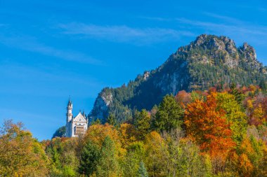 Neuschwanstein Şatosu, Almanya 'nın tarihi binalarından biridir. Doğal yeşil ormanlarda sonbahar renkleriyle süslenmiş harika bir binadır.