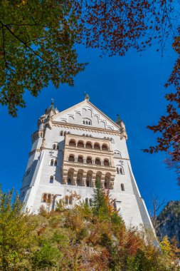 Neuschwanstein Şatosu, Almanya 'nın tarihi binalarından biridir. Doğal yeşil ormanlarda sonbahar renkleriyle süslenmiş harika bir binadır.