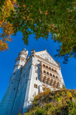 Neuschwanstein Şatosu, Almanya 'nın tarihi binalarından biridir. Doğal yeşil ormanlarda sonbahar renkleriyle süslenmiş harika bir binadır.