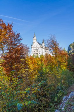 Neuschwanstein Şatosu, Almanya 'nın tarihi binalarından biridir. Doğal yeşil ormanlarda sonbahar renkleriyle süslenmiş harika bir binadır.