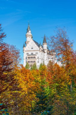Neuschwanstein Şatosu, Almanya 'nın tarihi binalarından biridir. Doğal yeşil ormanlarda sonbahar renkleriyle süslenmiş harika bir binadır.