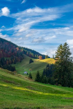 Dağlarda sonbahar, renkli ağaçlar ve manzara