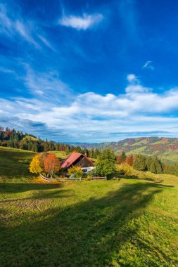 Dağlarda sonbahar, renkli ağaçlar ve manzara