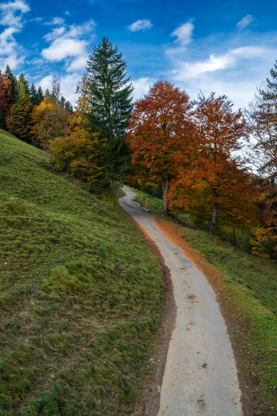 山の中の秋カラフルな木々や風景 — ストック写真
