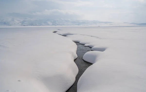 winter photos with heavy falling snow and its image in nature