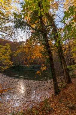 Bolu Yedigoller Ulusal Parkı 'ndan çeşitli fotoğraflar ve sonbahar renkleri