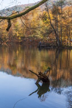 Bolu Yedigoller Ulusal Parkı 'ndan çeşitli fotoğraflar ve sonbahar renkleri