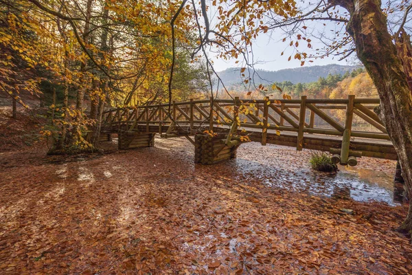 Bolu Yedigoller Ulusal Parkı 'ndan çeşitli fotoğraflar ve sonbahar renkleri