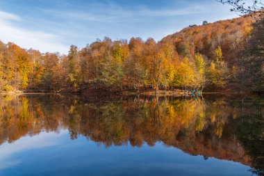 Bolu Yedigoller Ulusal Parkı 'ndan çeşitli fotoğraflar ve sonbahar renkleri