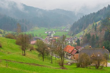 Yağmurlu ve sisli bir günde Bohinj Gölü 'nün etrafında çekilen çeşitli fotoğraflar