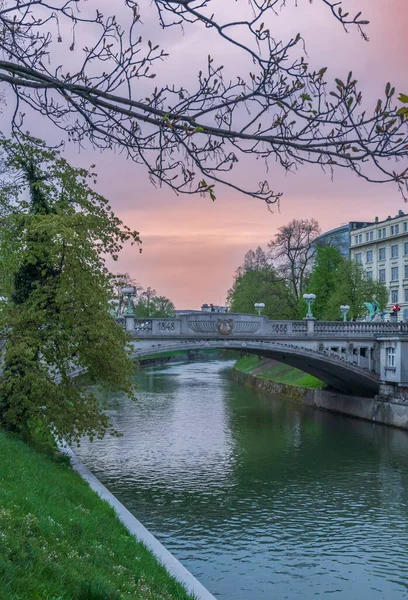 Slovenya 'nın başkenti Ljubljana nehir kenarından ve şehir merkezinden manzaralı