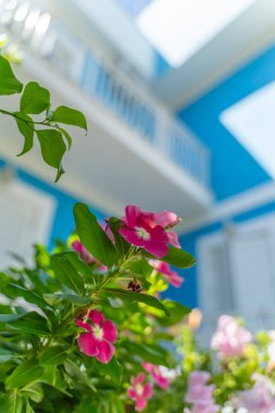 Yunan adasında turistik yerler ve plajlar