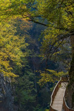 Sonbahar mevsimi ve Horma Canyon yürüyüş yolu kayalar ve doğanın renkleri arasında