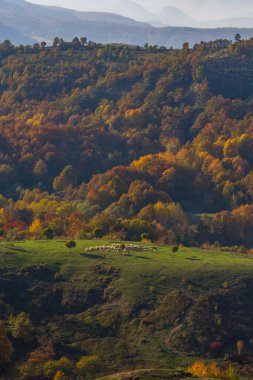 Doğada sonbahar renkleri ve dağlarda su renkli ağaçlar bırakır.