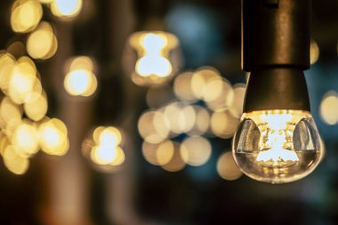 Öndeki lambanın resmini kapat