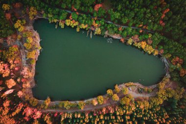 Sonbahar renklerinde havadan çekilmiş doğa fotoğrafları.