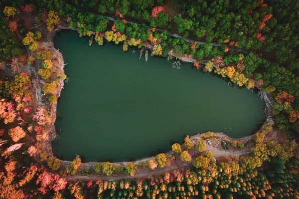 从空中拍摄的秋天色彩的自然照片 — 图库照片