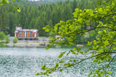 Artvin savsat kara göl ve doğal manzara dağları bulutlar ve ağaçlar