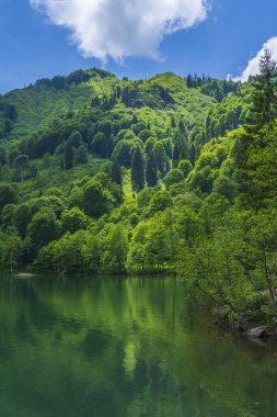 Artvin Borcka Kara Gölü ve çevresindeki doğal manzara dağları bulutlar ve ağaçlar