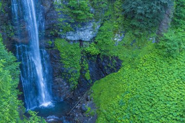 Maral Şelalesi ve çevresindeki dağlar ve yeşil bitki örtüsü Artvin sınırları içinde yer almaktadır.