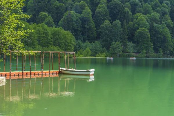 Artvin Borcka Kara Gölü ve çevresindeki doğal manzara dağları bulutlar ve ağaçlar