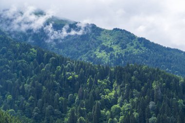 Trabzon Sumela Manastırı etrafındaki manzaralar, binalar ve yapılar ve içerideki Hristiyan dünyasının ikonları.