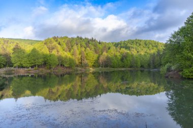 Yansımalı göl manzarası ve yeşil doğa mavi suyu bulutlandırır
