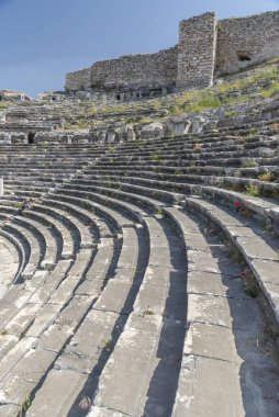 details of ancient settlement milet amphitheater flowers and green nature with blue sky