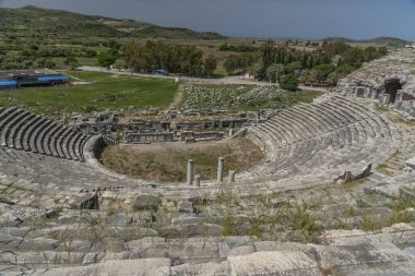 details of ancient settlement milet amphitheater flowers and green nature with blue sky