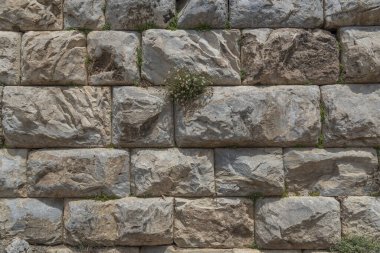 details of ancient settlement milet amphitheater flowers and green nature with blue sky