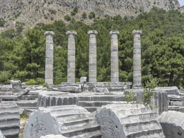 Ruins of the ancient city of Priene on the ground and upright columns among the trees