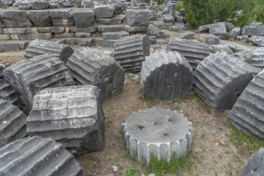 Ruins of the ancient city of Priene on the ground and upright columns among the trees