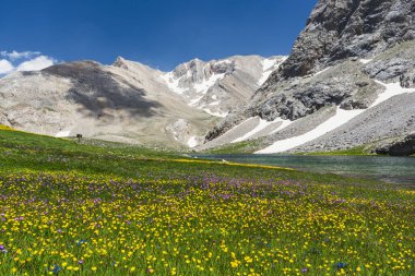 Çeşitli açılardan Bolkar dağları yeşil renkli doğa akan su gölleri bulutlu gökyüzü ve dik kaya formları