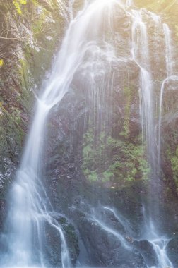Sonbahar renkleriyle ve şelalelerin yaprakları ve güneş ışığıyla dolu resimsel manzaralar.