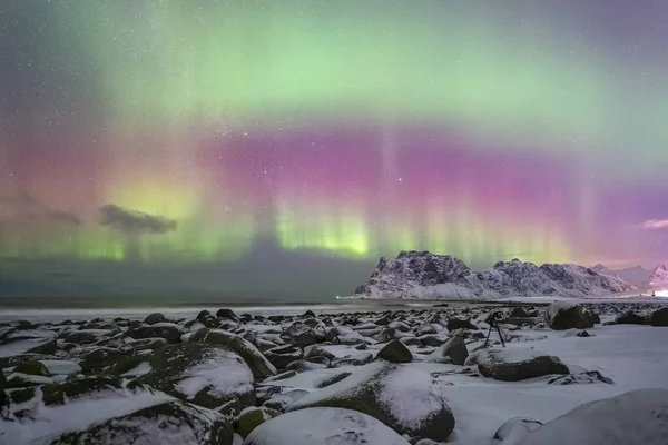 Kuzey ışıkları, Norveç 'teki Lofoten adalarında kış mevsiminde karla kaplanmış kutup ışıkları altında çekildi.