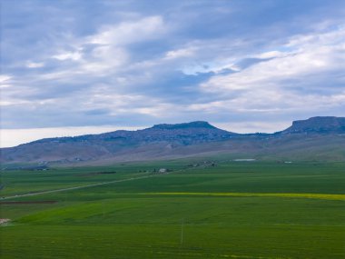 Mardin turistik eski şehir geneli caddeleri gece gündüz geziyor.