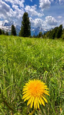 İtalyan alpleri dolomitler ulusal park gölü dağ yürüyüşü zirveleri tre cime brais lake carezza gölü yansıma bulutları