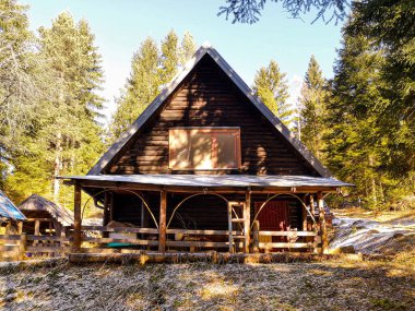 Ahşap duvarları, verandası ve kozalaklı bir ormanda mavi gökyüzü olan terk edilmiş eski bir dağ evi.