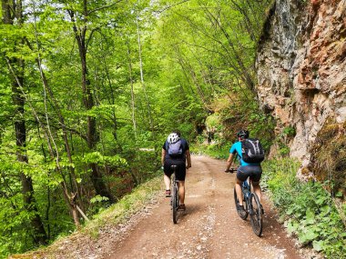 İki MTB bisikletçisi bir orman yolunda gidiyor.