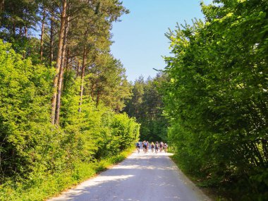 Bir grup MTB bisikletçisi yeşil bir ormanın içinden geçiyor.