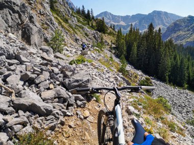 Mavi gökyüzü ve çam ormanıyla kayalık patikada MTB bisikleti